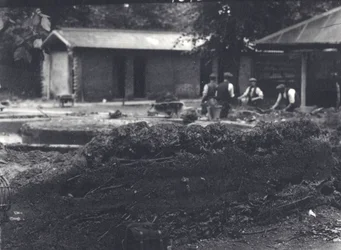 Biberbau mit Wärtern im Hintergrund, London Zoo, Juli 1916